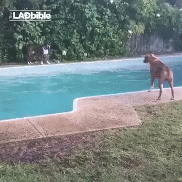 1458107060-2db07b3206018f9a4ca7f4addd498161