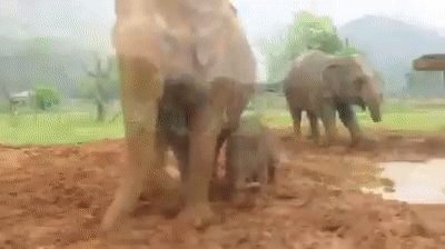 gif_1468500715