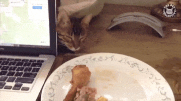 4dce1dbf7a122216f00582303e4e0329_da_splju_ja_splju