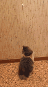 0_7cc13_3dbd42d7_orig