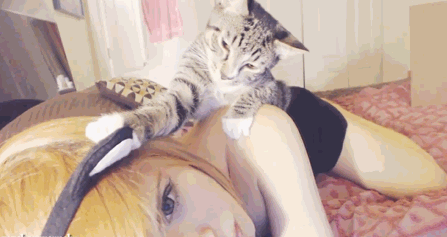 kochachya-animaciya-kotoraya-delaet-vse-ostalnye-17