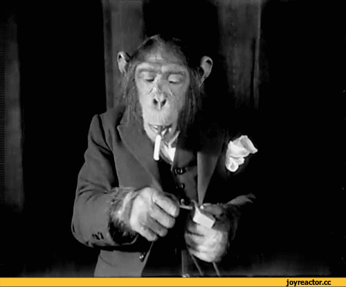 -мартышка-теплый-источник-песочница-480009