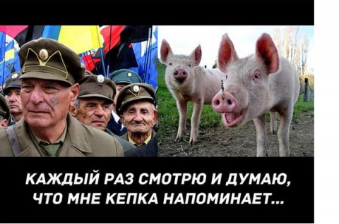 бандеровец