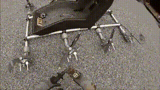 video (14)