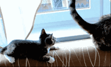 doc204628036_315070777_yapfiles.ru