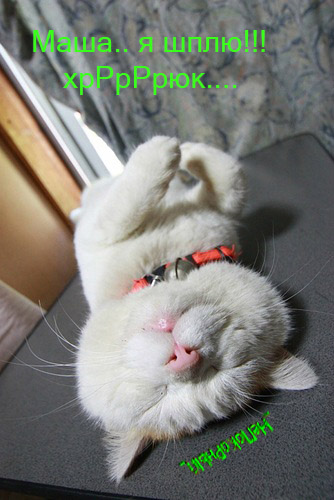 f8b759b0a28080d16a441eff36b5bd7b_427.jpgpg