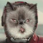 iron_cat_by_elliscarlos-d31gcpo