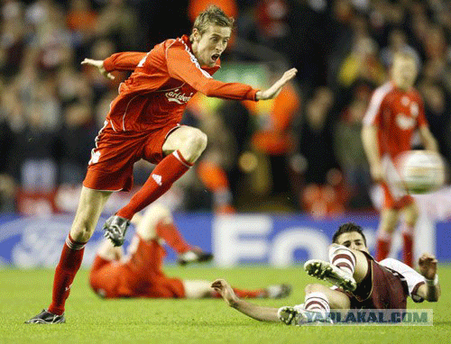 питер-паркер-D