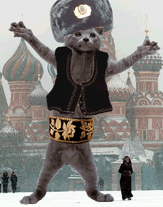 dancemoskaucat