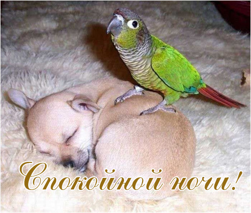 87d529cc07ef55b1793f232ef111187d