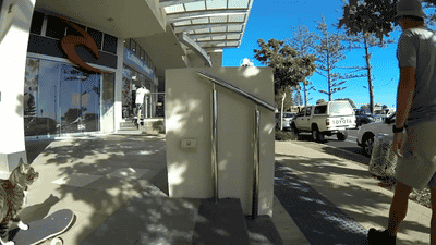 кот скейтборд