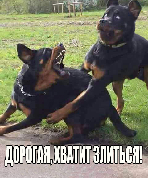 1469915354174365958