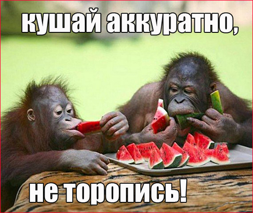 839481f2a80931125e0ba89d9c4e593f