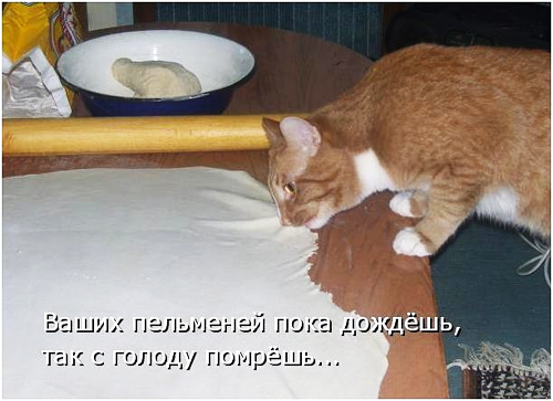 c6225316d01c3a631f7ebf6aa1b22b14