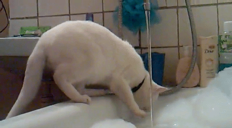 проверил водичку