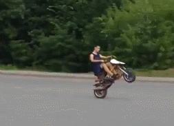 -мопед-не-мой-гифки-ЕБУХ!-3264291