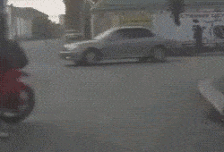 437754291