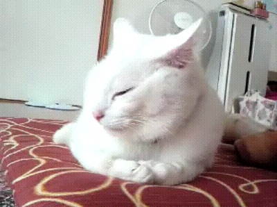 0_11dfcb_a2184371_orig_yapfiles.ru