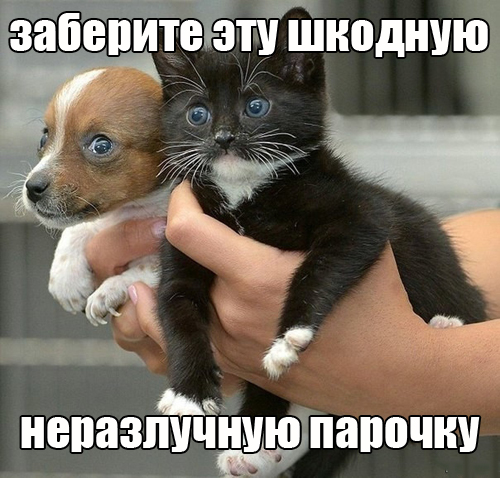 52c557388f3e48894799fbaea410df95