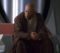 Mace_council