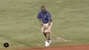 this guy really loves to rake - Imgur