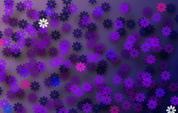 cvet-forma-tekstura-3274