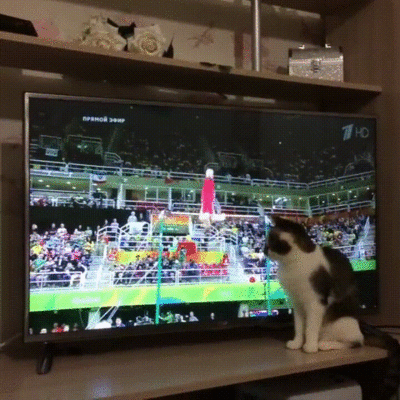 1471051169-cb6119fcbfbed3283d8a6604deb794de