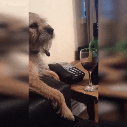 Пёс-хранитель