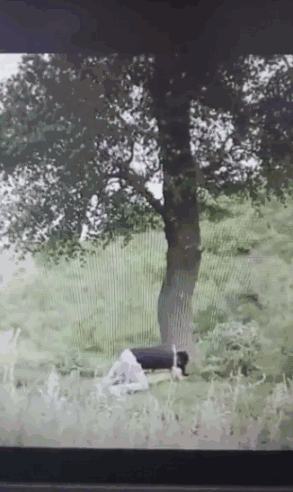 3VyiNIX