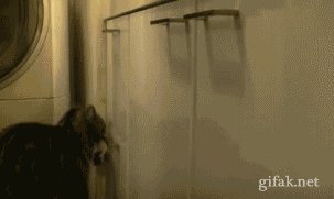 64440-ZmIyNTI0Nzc1Zg