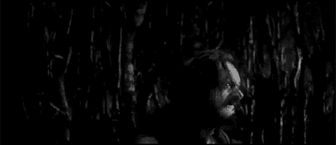 1374618394_1546542062