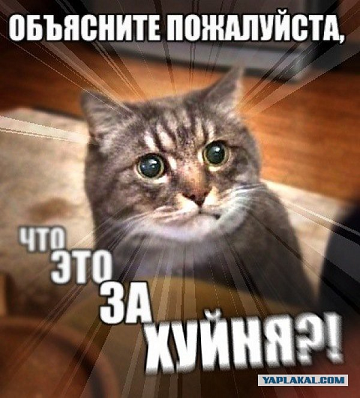 8082317