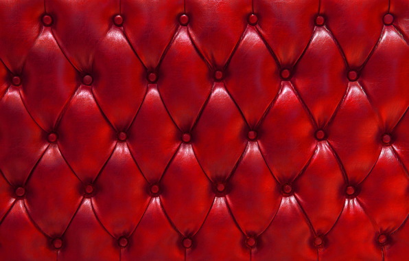 leather-skin-upholstery-6227