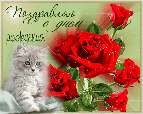 11497612_9863f21cd9e1ef2df3aa66ee5ac18b72_800