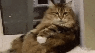 https_vk_com_gif_fak_18