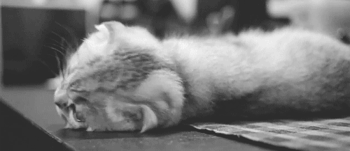 gifs_07
