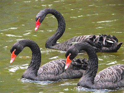 69455538_a39dfd66ae27