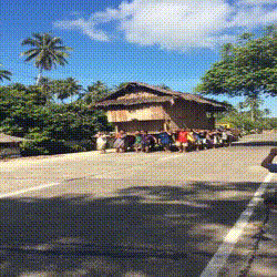 daily_gifdump_1141_29