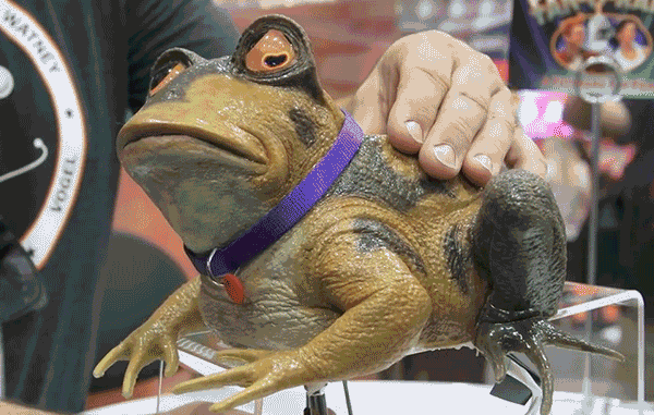toad