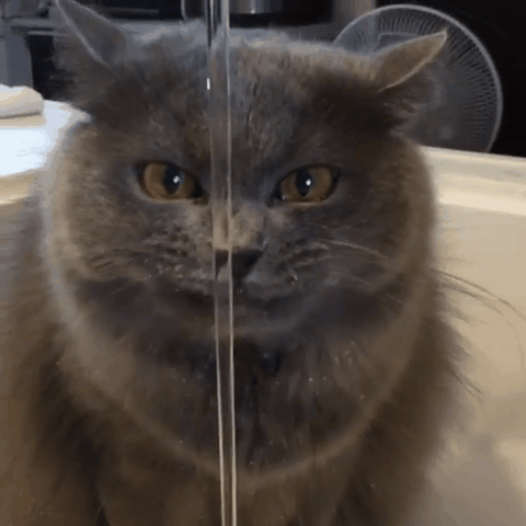 4f9d6017934e51b9301a75d9002