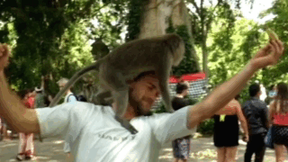 1474094348-5e4433c4958fbe291482ddf8658f6659