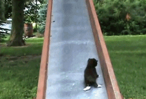 1_