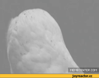 sovazhivnostdlyavazhnyhperegovorov955953_yapfiles.ru