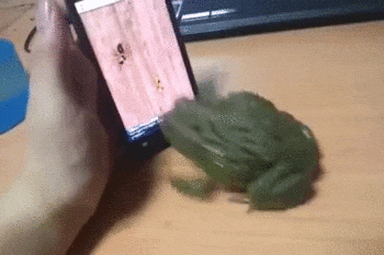 ezgif.com-optimize (2)