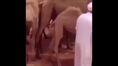 000