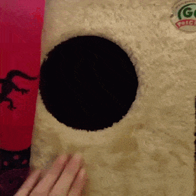 Spetsialisty_NASA_vyyasnili_chto_zhdet_nas_v_tsentre_chernoy_dyry