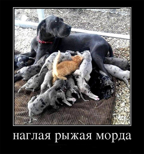 3c67a3dcd0ec59af9c7283a68b6d23e9