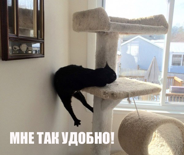 201503050001-kartinki-prikoly-kote-son-mne-tak-udobno-kashamalasha-com