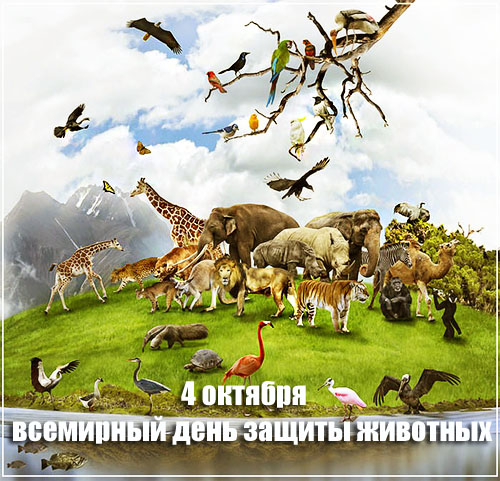 1-animals-collage@2x