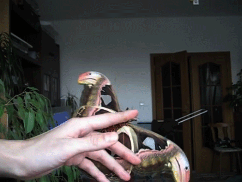 tumblr_noyh792XDj1r4fmxfo2_r1_500